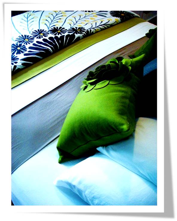 MIchael Raun Home Interior design and Decorating: Soft Fabrics